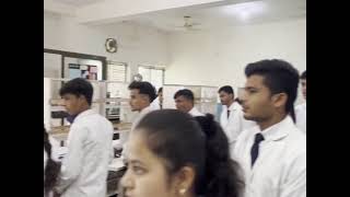 BTIPS college sironja sagar [upl. by Aseneg]