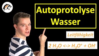 Autoprotolyse von Wasser Reaktionsgleichung amp Gleichgewicht  Chemie Tutorial [upl. by Eimrots]