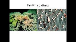 Radiogenic Isotopes in Paleoceanography [upl. by Bonnice50]