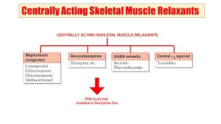 26 Centrally Acting Muscle Relaxant  AUDIO Pharmacological Classification  Muscle Relaxant [upl. by Oriel600]