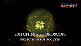 Rooster predictions for 2011 [upl. by Saihttam]