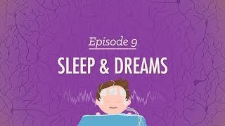 To Sleep Perchance to Dream Crash Course Psychology 9 [upl. by Helsell917]