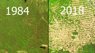 Deforestation Amazon Google Earth Timelapse [upl. by Gwynne855]