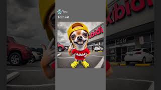 Chihuahua helps homeless ai funny shorts [upl. by Enyalaj]