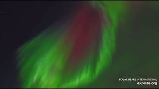 Beautiful Northern Lights Aurora Borealis Display x2 Speed 10112024 exploreorg [upl. by Lulita]