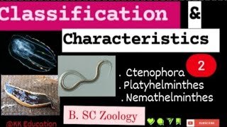 Classification amp Characteristics  2 l Ctenophora l Platyhelminthes l Nemathelminthes l [upl. by Aurthur]