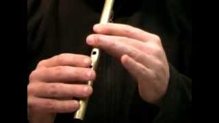 Eddie Kellys Jig 1 Faster  Tin Whistle Tutorial  Tradschool [upl. by Becki940]