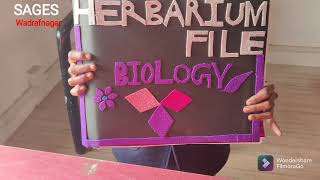 Herbarium File  SAGES Wadrafnagar [upl. by Berna]