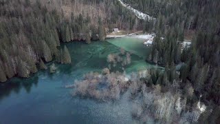 Lago di Fusine superiore inondato [upl. by Longley]