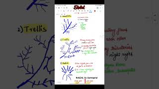 Drainage Pattern of Rivers ytshorts upsc [upl. by Robillard]