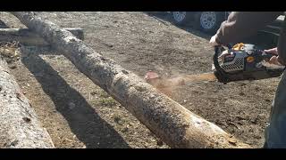 Chainsaw log debarker from HudSon Forest Equipment mechanical log peeling [upl. by Edda]