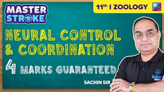 Neural Control amp Coordination Class 11 Biology One Shot  NEET 2023 Exam  Sachin Sir [upl. by Elleryt916]