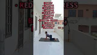 CAT amp COW POSE fitness meditiation medicalyoga yoga home yogi youtubeshorts youtube shorts [upl. by Orag]