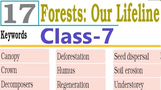 Keywords amp Exercises Class 7 Science Ch 17 Forests Our Lifeline [upl. by Yramliw]