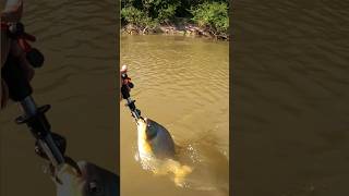 Pescaria no Pantanal pescaria pescador fishing peixe [upl. by Sterling]