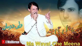 Pashto New Songs 2023  Ma Wayal Che Meena  Wali Darman Tapay 2023  New Pashto Song [upl. by Auahsoj]