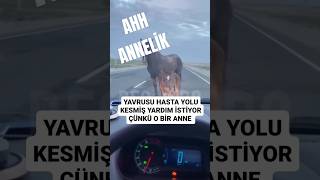 HASTA YAVRUSUNA YARDIM İSTİYOR kesfetteyiz annelik annesevgisi anne [upl. by Agbogla]