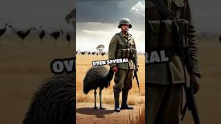 The Great Emu War A Bird Battle in Australia [upl. by Anisamoht]