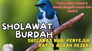 SHOLAWAT NABI PEMBUKA REZEKI SHOLAWAT NABI PENYEJUK HATI SHOLAWAT BURDAH MERDU TERBAIK [upl. by Shererd]