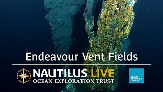 Highlights from Endeavour Vent Fields 2024  Nautilus Live [upl. by Yanarp]