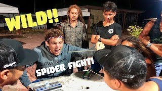 Filipino SPIDER FIGHTING Is Wild PHILIPPINES FUN [upl. by Krebs146]