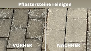 Pflastersteine reinigen  Flechten Moos amp Schwarzalgen von Terrassen und Steinplatten entfernen [upl. by Celka]