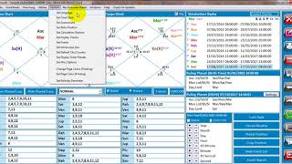 Horosoft Astrology Software Professional 50  Change Language Hindi [upl. by Erapsag]