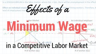 Minimum Wages in Competitive Labor Markets [upl. by Parthenia]