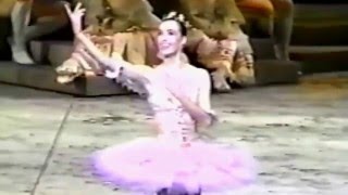 Sylvie Guillem  Sleeping Beauty ABT Act I [upl. by Cilka790]