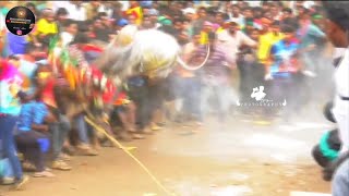 Giddampatti Eruthukattu mass  Krishnagiri Jallikattu Lover  Krishnagiri Eruthukattu Jallikattu [upl. by Ahsilyt475]