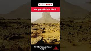 Coolest National Parks amp Wildlife Reserves in Algeria [upl. by Dnalerb]