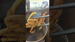 Shrimp Daddy’s Waldport Oregondungenesscrab crabcooking crab subscribetomychannel [upl. by Seldon]