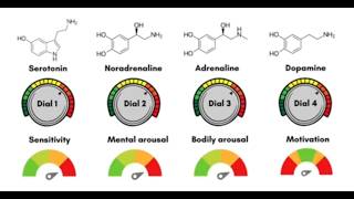 Medications and mood How the quotantidepressantsquot work THE 5 DIALS [upl. by Aneerb497]