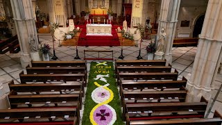 Arundel Cathedral Corpus Christi Carpet Of Flowers 2024 [upl. by Anert]