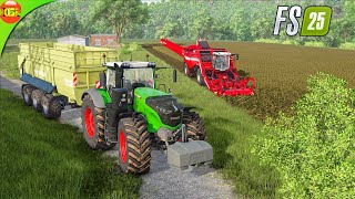 Potatoes Harvesting  Farming Simulator 25 4k Gameplay [upl. by Nolyd]