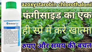 amistar syngenta  Amistar opti fungicide  Azoxystrobin  Chlorothalonil  Syngenta fungicide [upl. by Yenattirb]