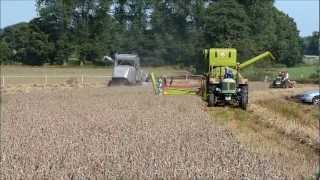 Claas Junior trifft Fahr Mähbinder und Claas Super  Oltimerdreschen in Kirchgellersen 2012 [upl. by Edwina]