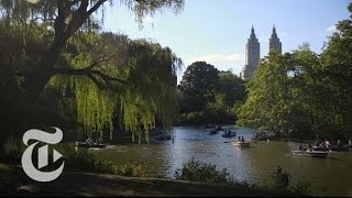 The Microbes of Central Park  The New York Times [upl. by Aniluap765]