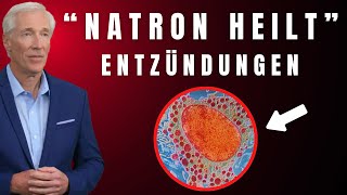 Natron EXPERTEN enthüllen schockierende Wahrheit über Entzündungen [upl. by Roselane]