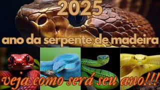 Escolha uma serpente e veja como será seu ano de 2025 [upl. by Aneryc]