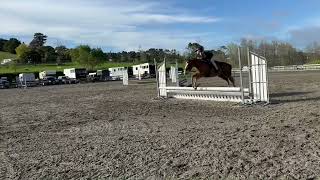 Going to and AampP show tmrw fypシ゚viral showhunter hunterjumper equestrain [upl. by Alissa481]