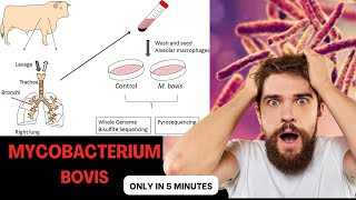 mycobacterium microbiology lecture mycobacterium bovis Easy Microbiology [upl. by Ardy975]