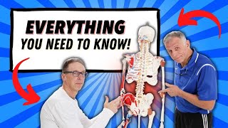 Low Back Pain Everything You Need To Know [upl. by Ennis]