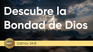 Salmos 348  Descubre la bondad de Dios  Versículo del Día [upl. by Eniledam]