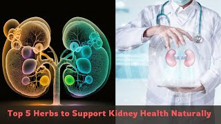 Top 5 Herbs to Support Kidney Health Naturally [upl. by Tommie]