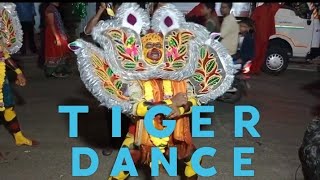 Tiger Dance  పులేషాలు  Polamamba Festival  Visakhapatnam [upl. by Aloin]