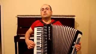 Cypriot folk song Dillirga played by Ahmet Akarsu with accordion [upl. by Naejeillib]