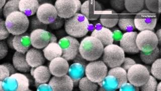 Size Exclusion Chromatography SEC [upl. by Nilyram102]