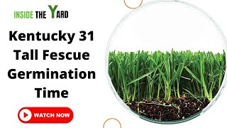 All You Need To Know About Kentucky 31 Tall Fescue Germination Time [upl. by Efi8]