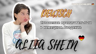 Склонение прилагательных в немецком языке A1A2 простое объяснение для начинающих Введение [upl. by Macleod316]